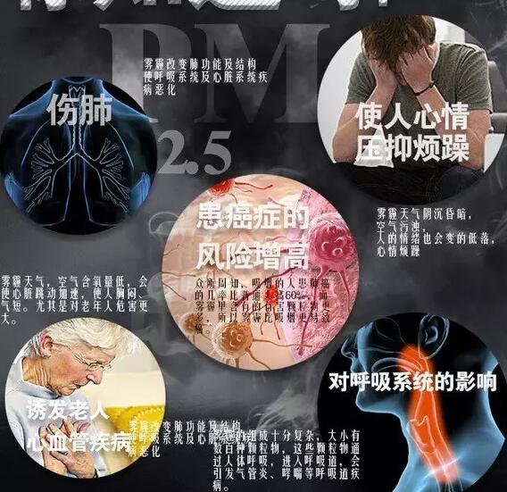 雾霾产生的疾病—妖精视频成人观看WWW